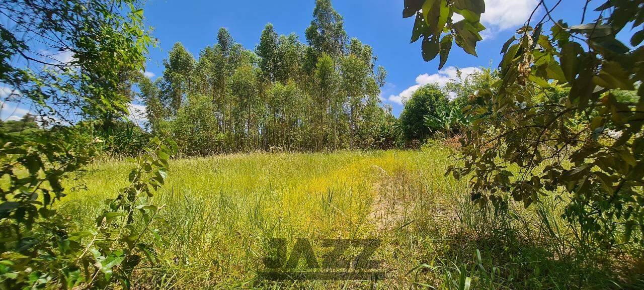 Fazenda à venda com 1 quarto, 50m² - Foto 40