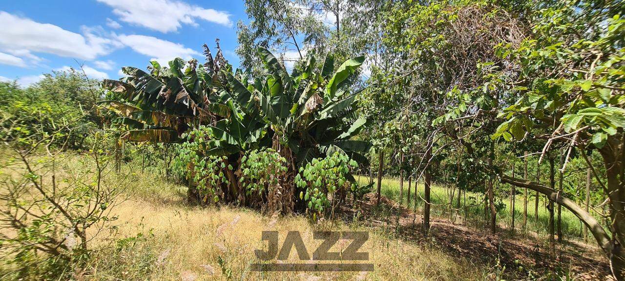 Fazenda à venda com 1 quarto, 50m² - Foto 36