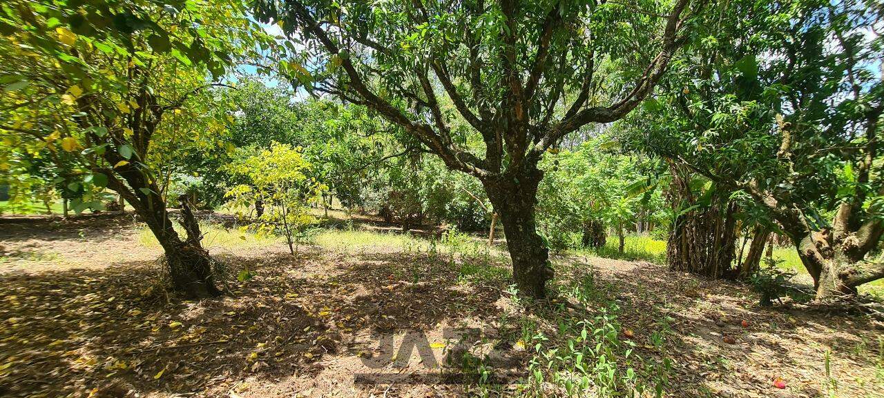 Fazenda à venda com 1 quarto, 50m² - Foto 24