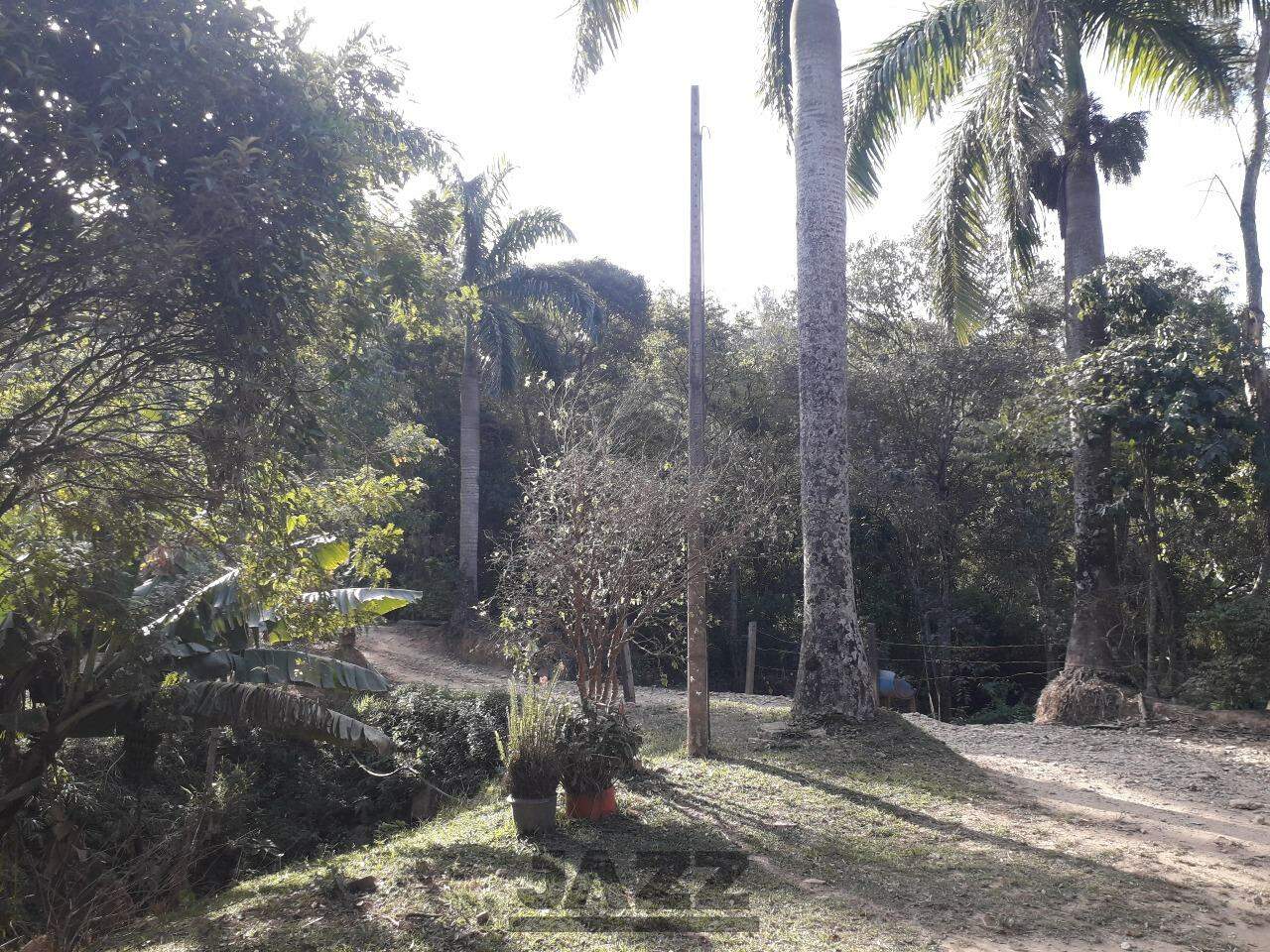 Fazenda à venda com 4 quartos, 200m² - Foto 2