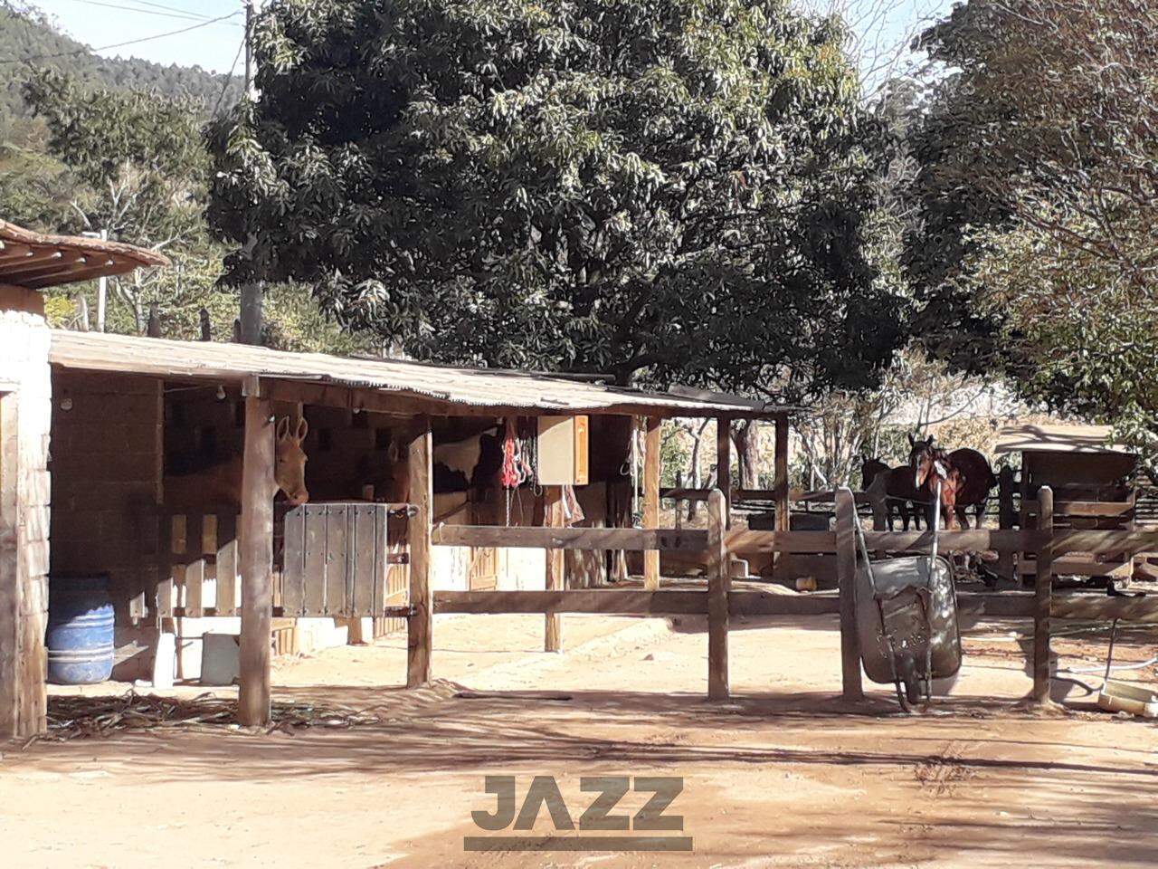 Fazenda à venda com 4 quartos, 200m² - Foto 6