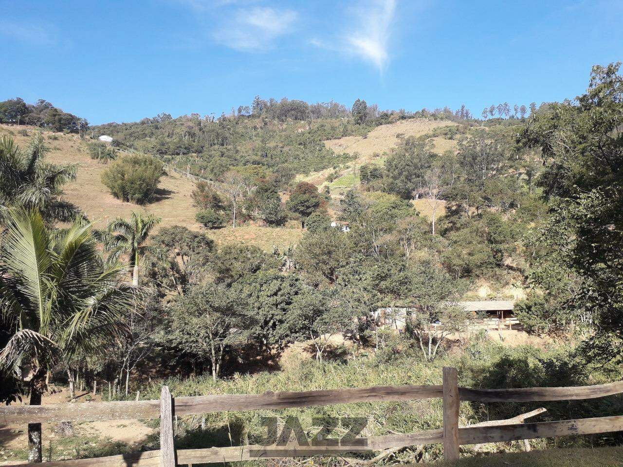 Fazenda à venda com 4 quartos, 200m² - Foto 10