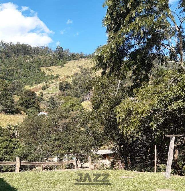 Fazenda à venda com 4 quartos, 200m² - Foto 36