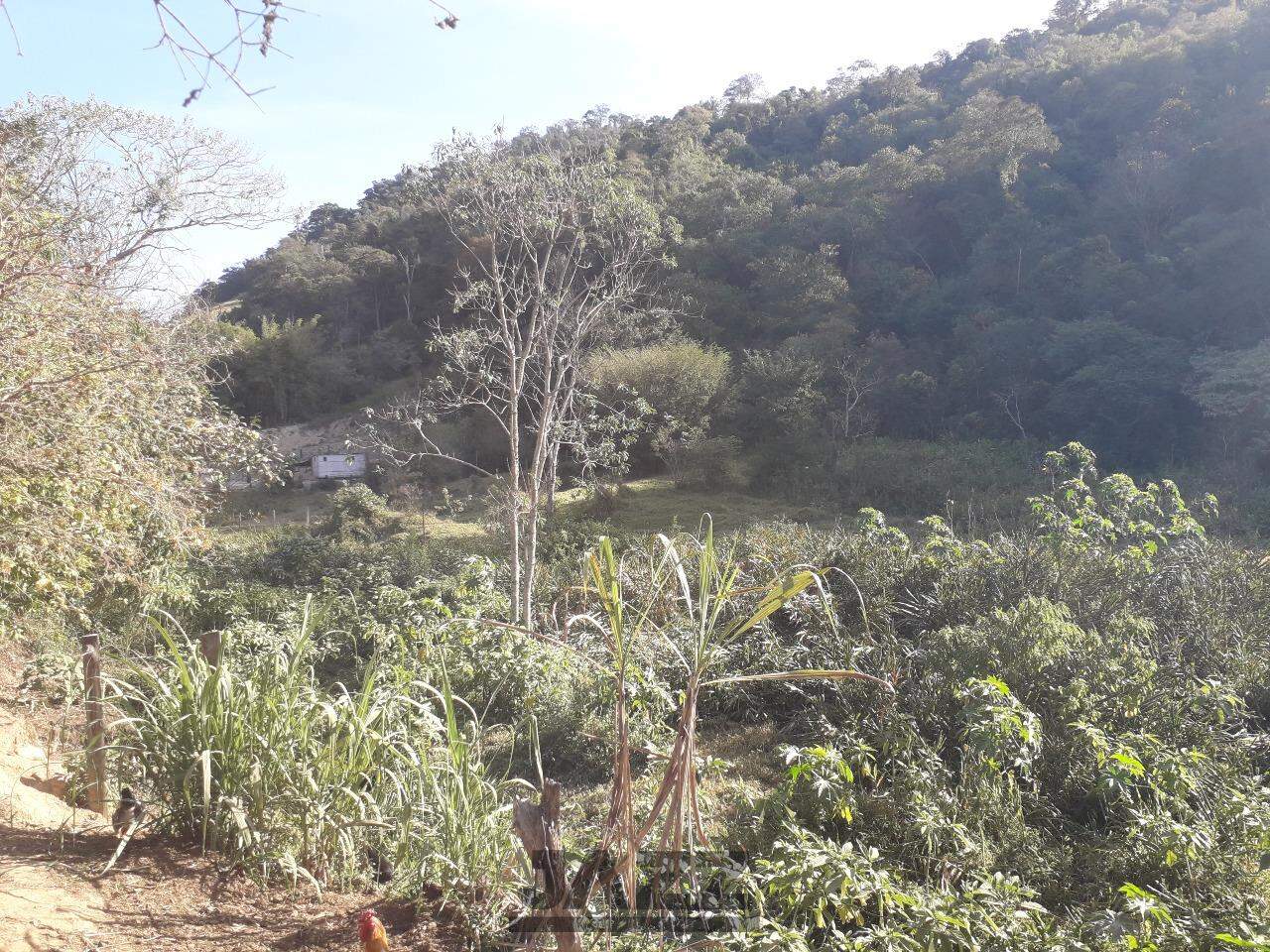 Fazenda à venda com 4 quartos, 200m² - Foto 17