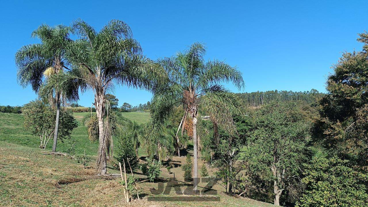 Terreno à venda, 23200m² - Foto 8