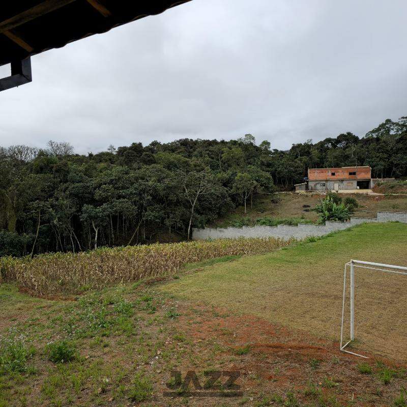 Fazenda à venda com 3 quartos, 220m² - Foto 35