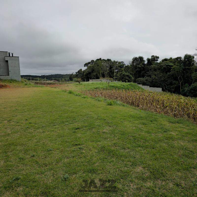 Fazenda à venda com 3 quartos, 220m² - Foto 39