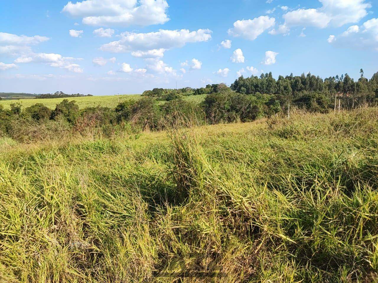 Terreno à venda, 1000m² - Foto 8