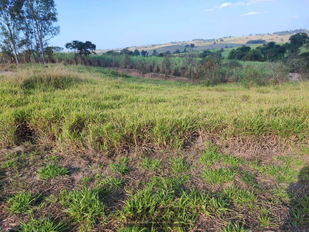 Terreno à venda, 1000m² - Foto 2