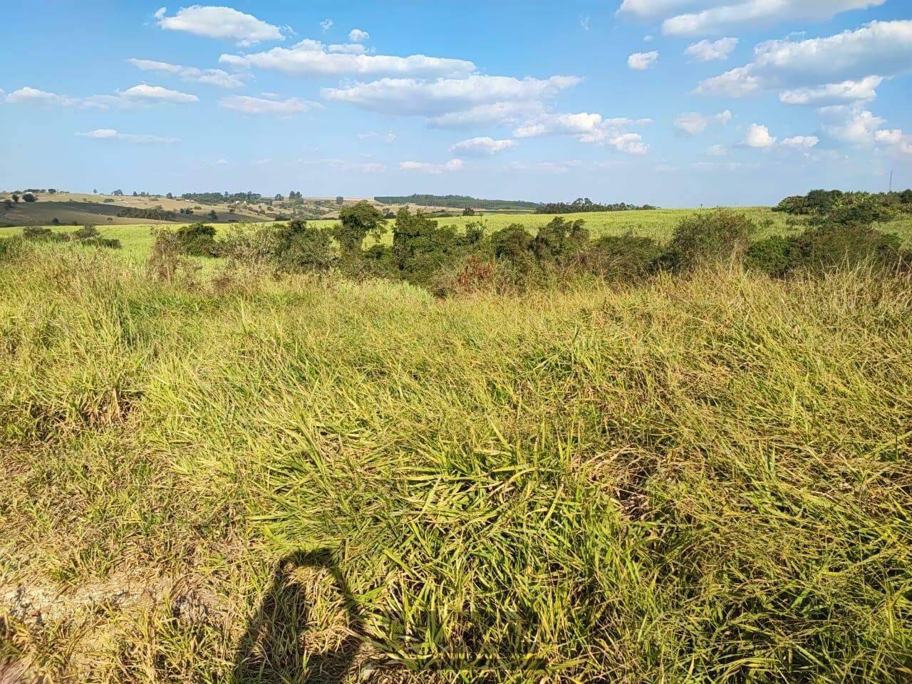 Terreno à venda, 1000m² - Foto 3