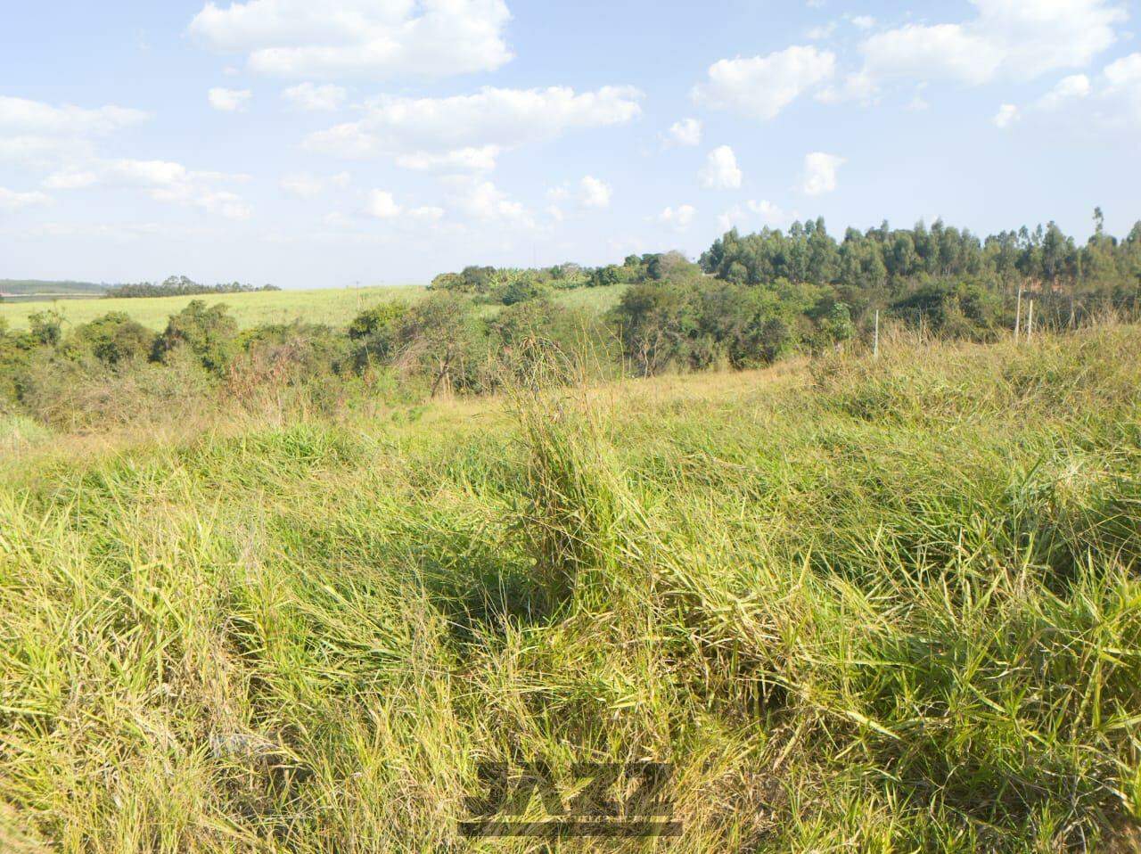 Terreno à venda, 1000m² - Foto 4