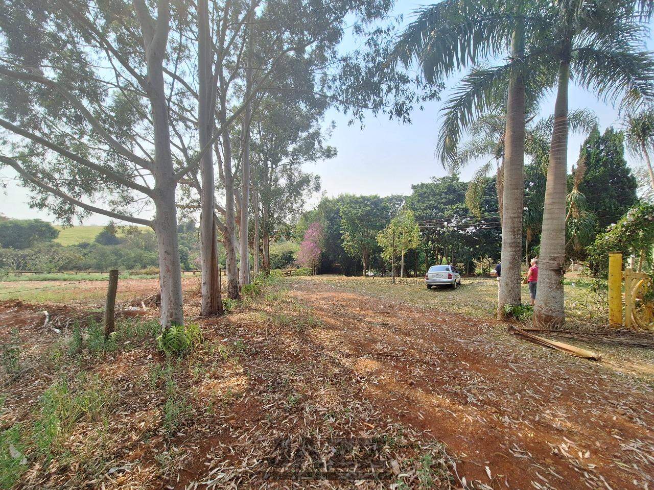 Fazenda à venda com 3 quartos, 220m² - Foto 30