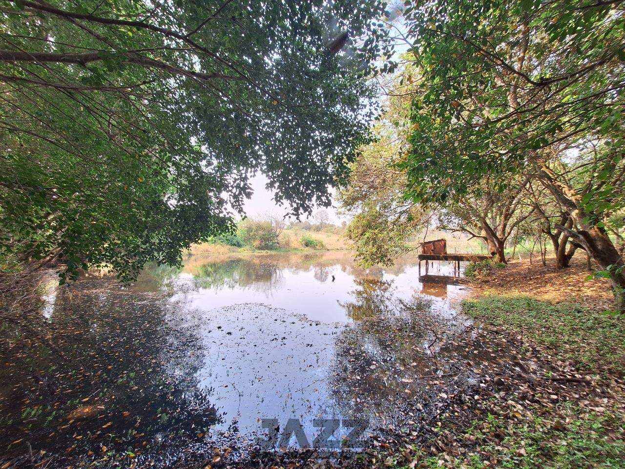 Fazenda à venda com 3 quartos, 220m² - Foto 32