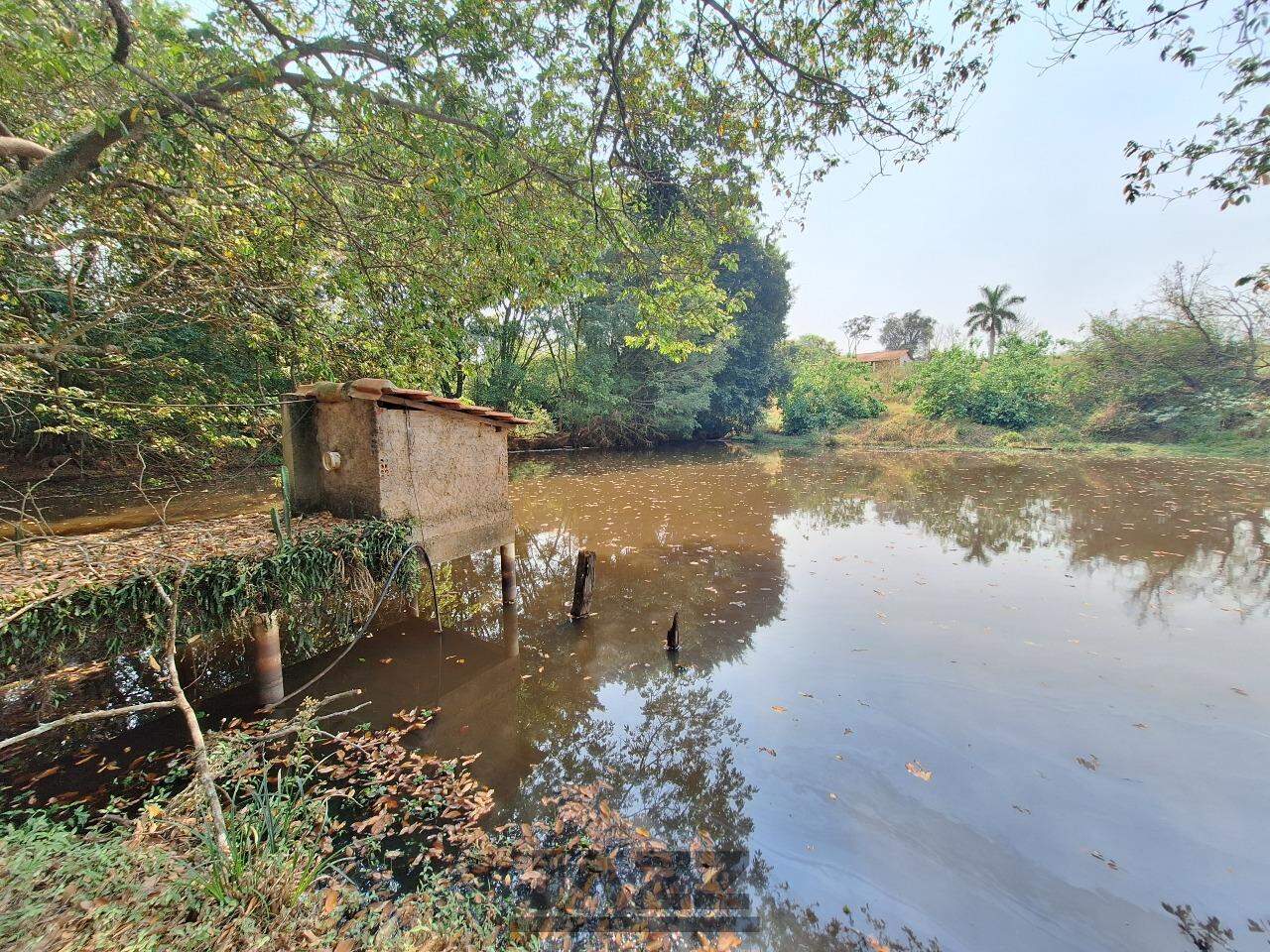 Fazenda à venda com 3 quartos, 220m² - Foto 33