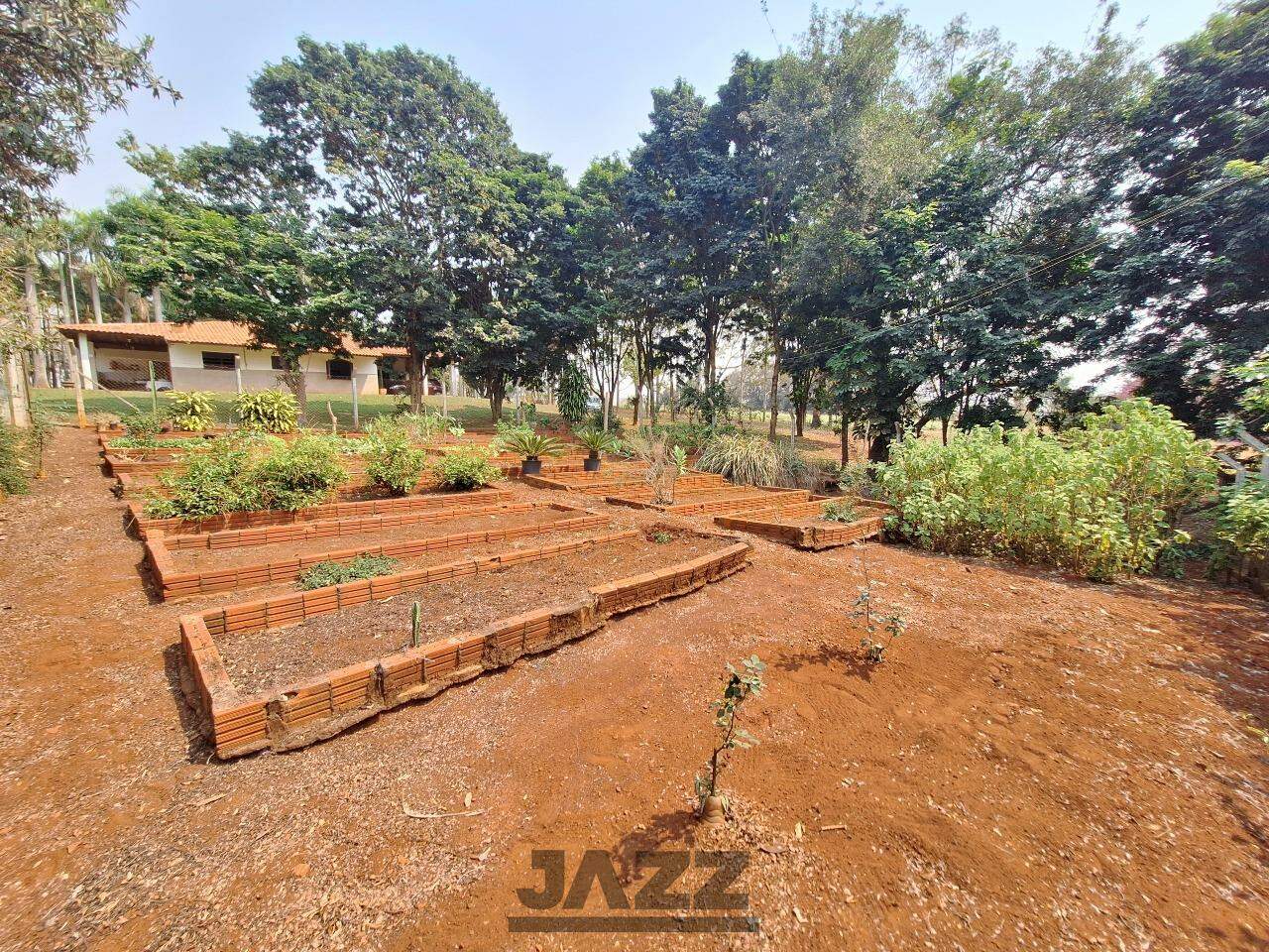 Fazenda à venda com 3 quartos, 220m² - Foto 36