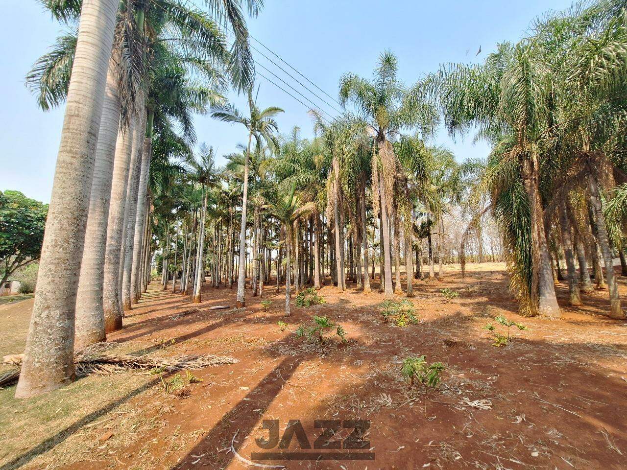 Fazenda à venda com 3 quartos, 220m² - Foto 28