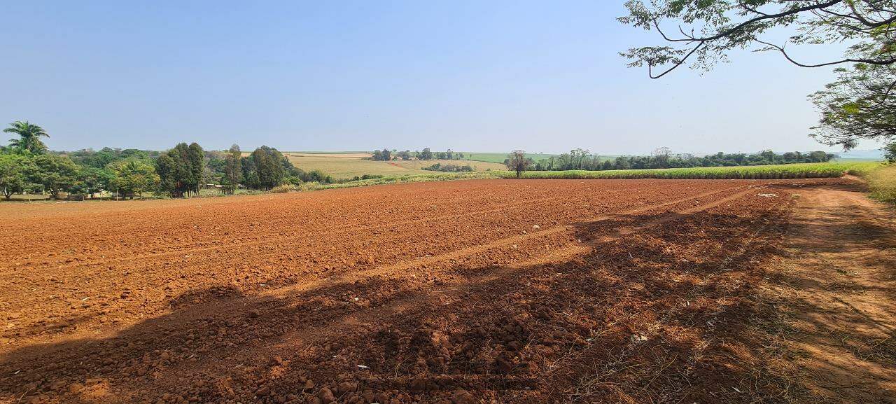 Fazenda à venda com 4 quartos, 120m² - Foto 32