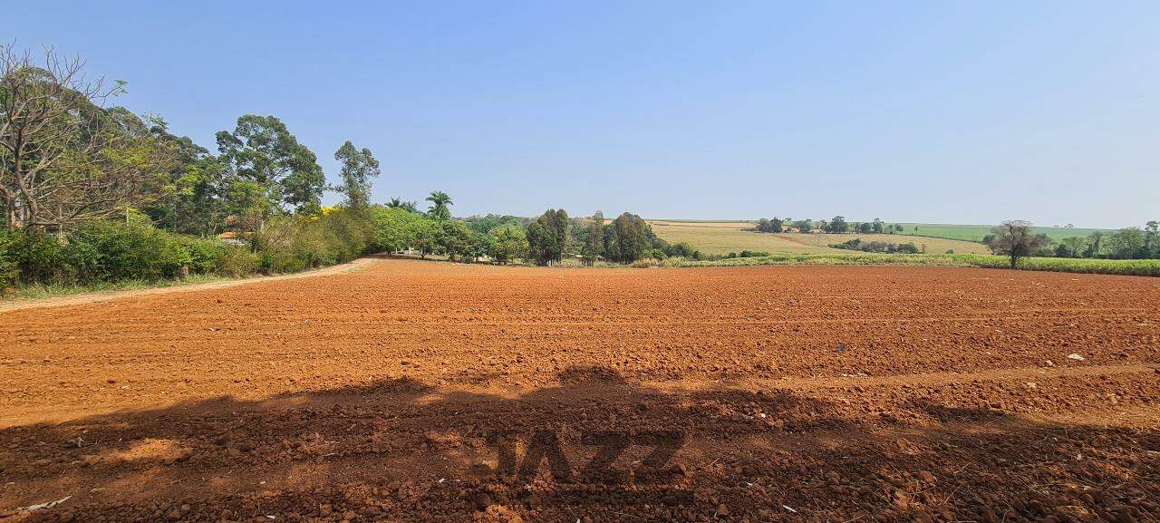 Fazenda à venda com 4 quartos, 120m² - Foto 34