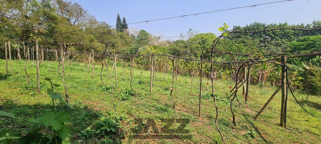 Fazenda à venda com 4 quartos, 120m² - Foto 10