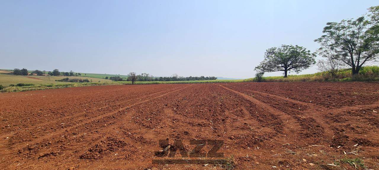 Fazenda à venda com 4 quartos, 120m² - Foto 33