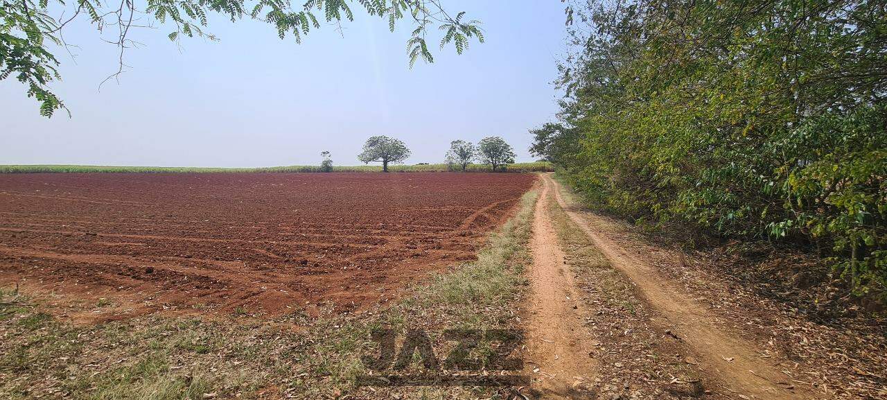 Fazenda à venda com 4 quartos, 120m² - Foto 18