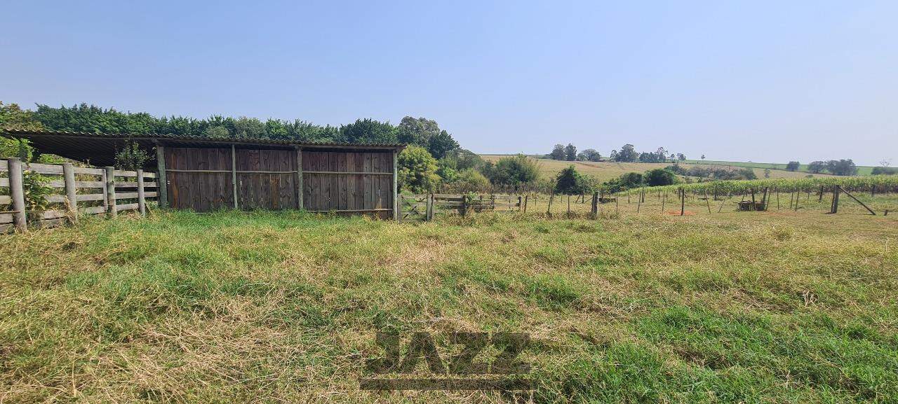 Fazenda à venda com 4 quartos, 120m² - Foto 23