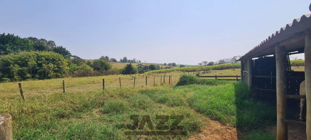 Fazenda à venda com 4 quartos, 120m² - Foto 30