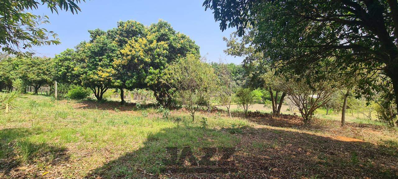 Fazenda à venda com 4 quartos, 120m² - Foto 13