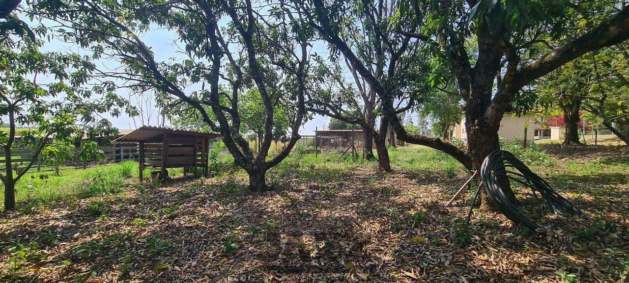 Fazenda à venda com 4 quartos, 120m² - Foto 19