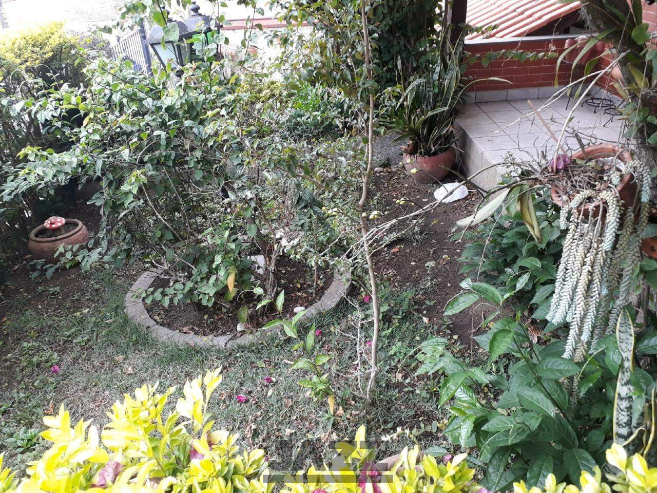Casa, 3 quartos, 199 m² - Foto 37