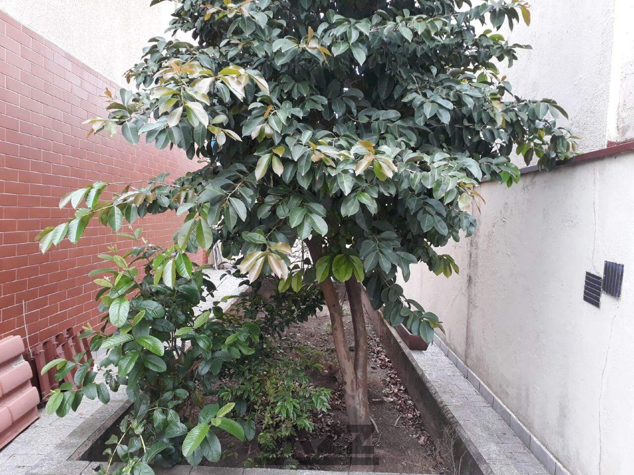 Casa, 3 quartos, 199 m² - Foto 31