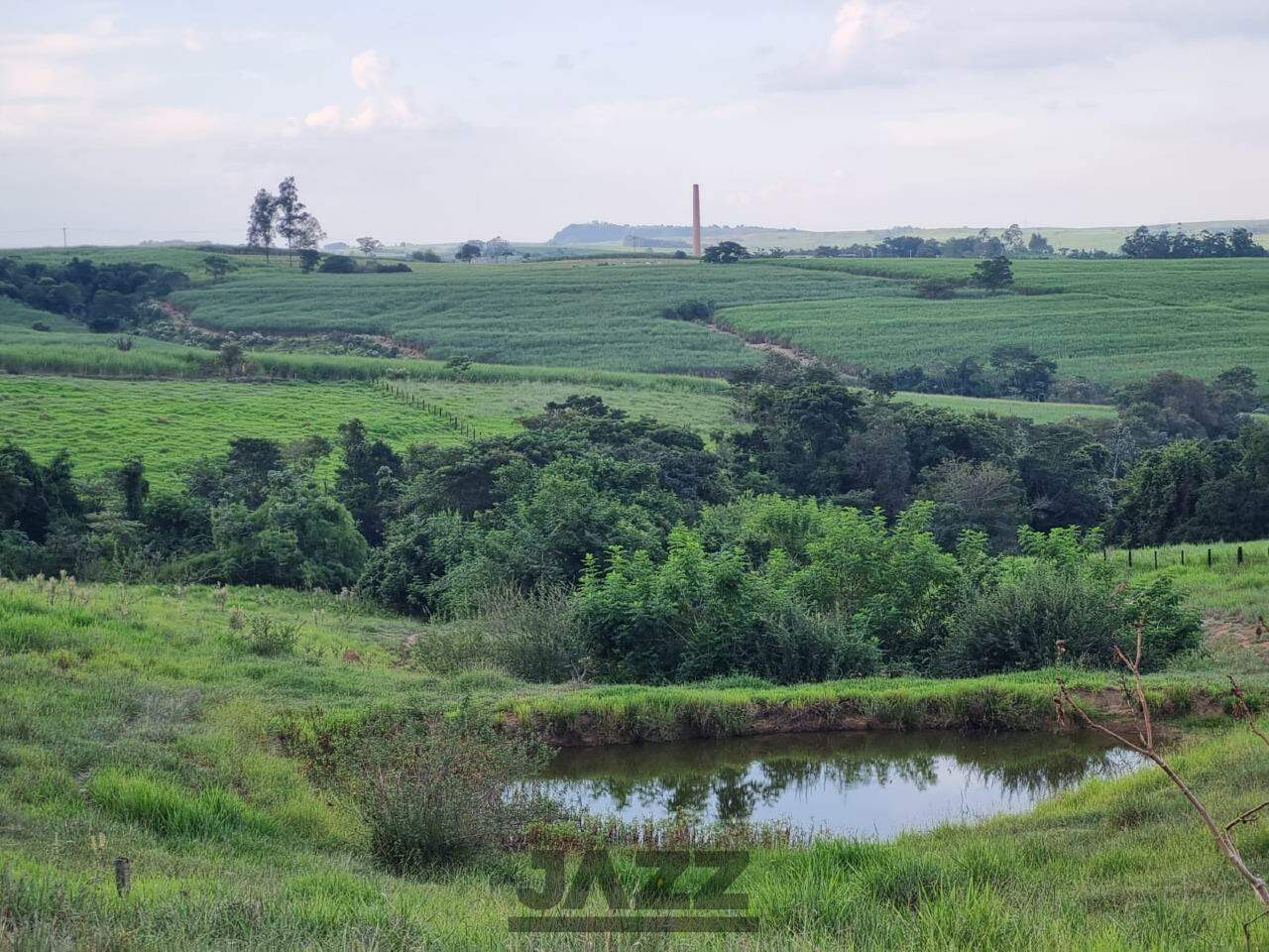 Fazenda à venda com 2 quartos, 43000m² - Foto 25