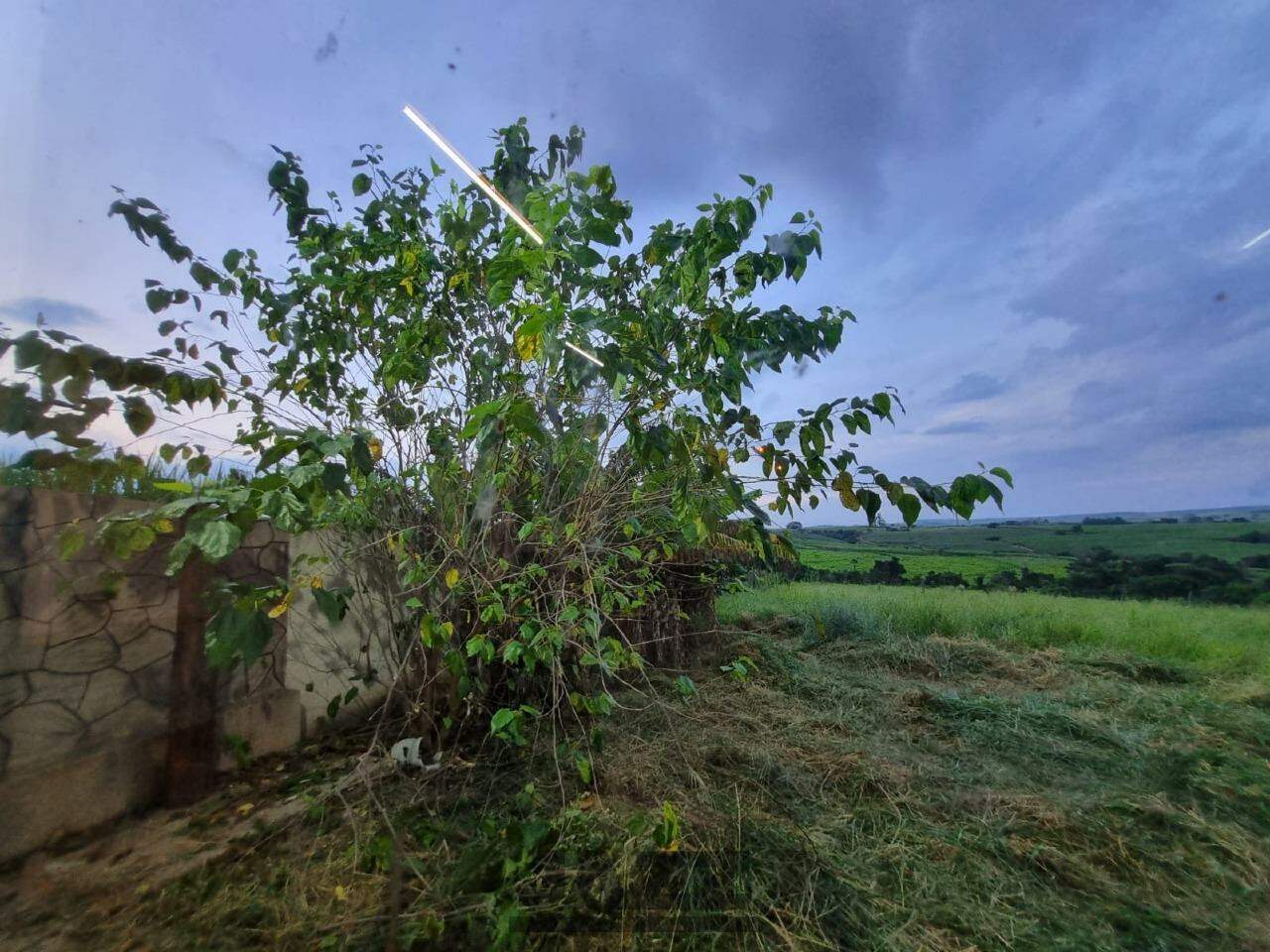 Fazenda à venda com 2 quartos, 43000m² - Foto 24