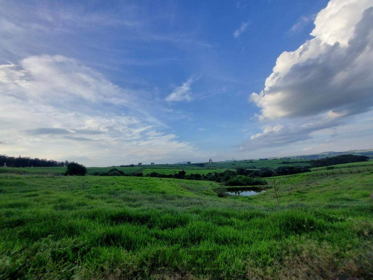 Fazenda à venda com 2 quartos, 43000m² - Foto 26