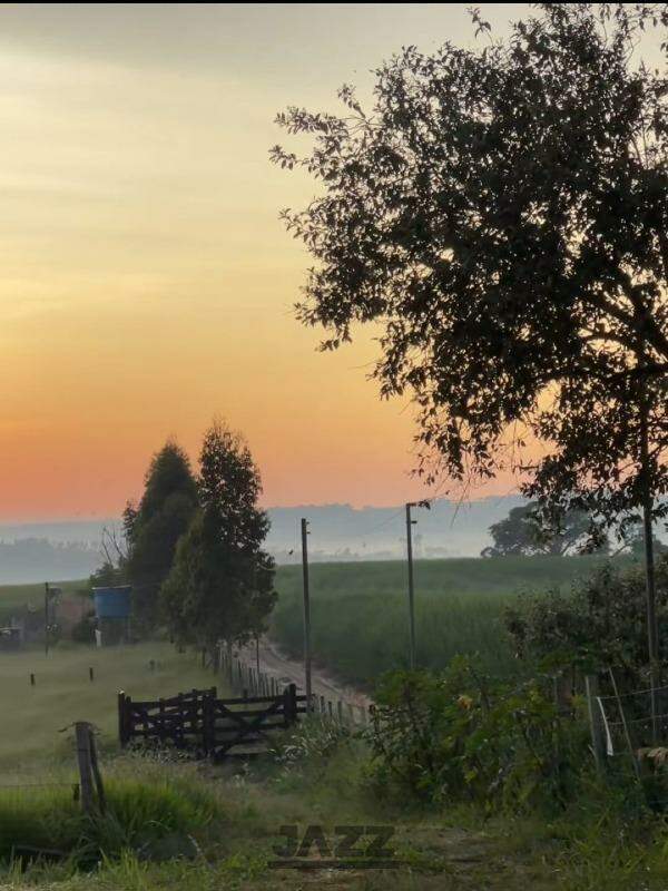 Fazenda à venda com 2 quartos, 43000m² - Foto 29