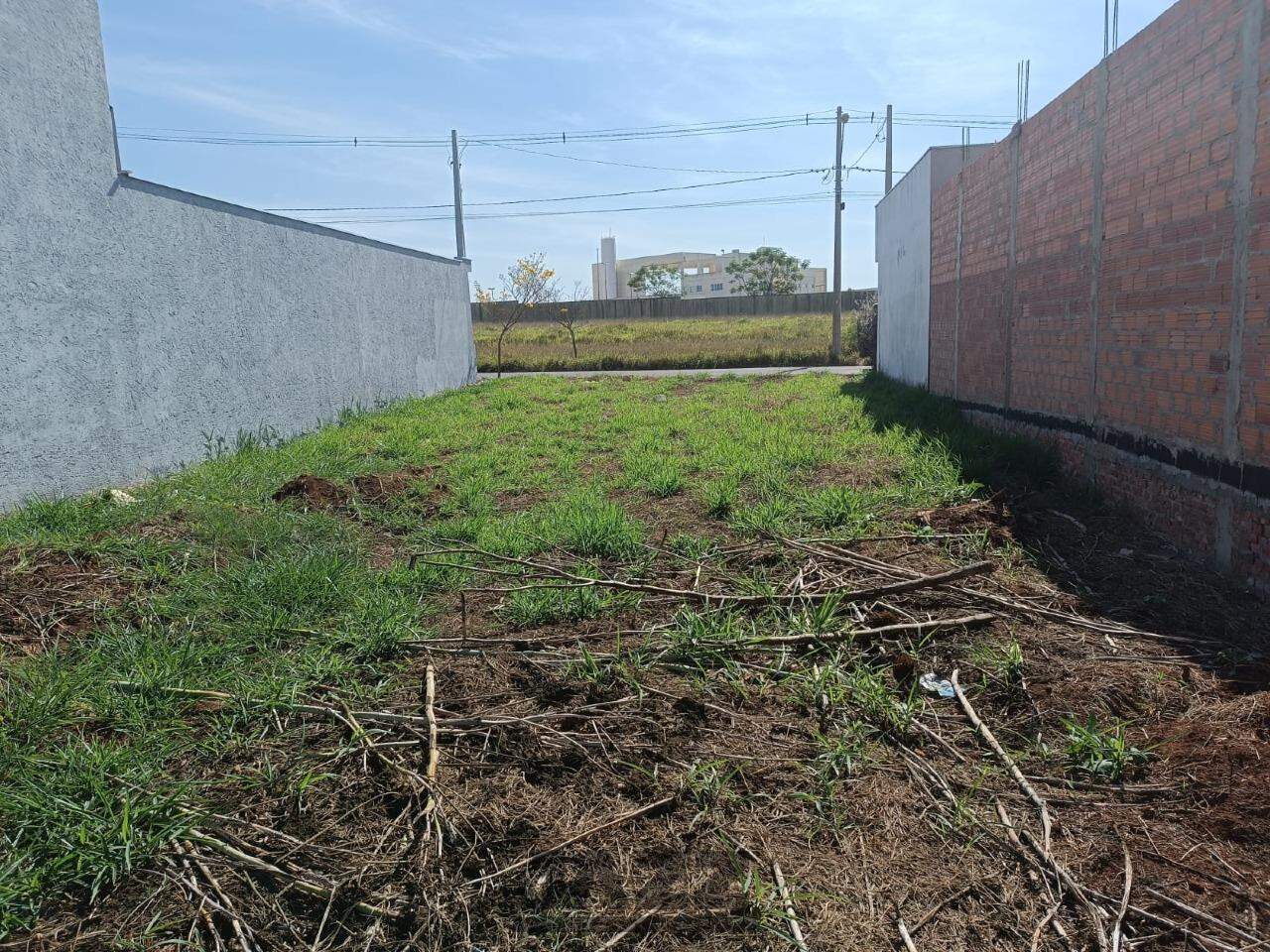 Terreno à venda, 250m² - Foto 3