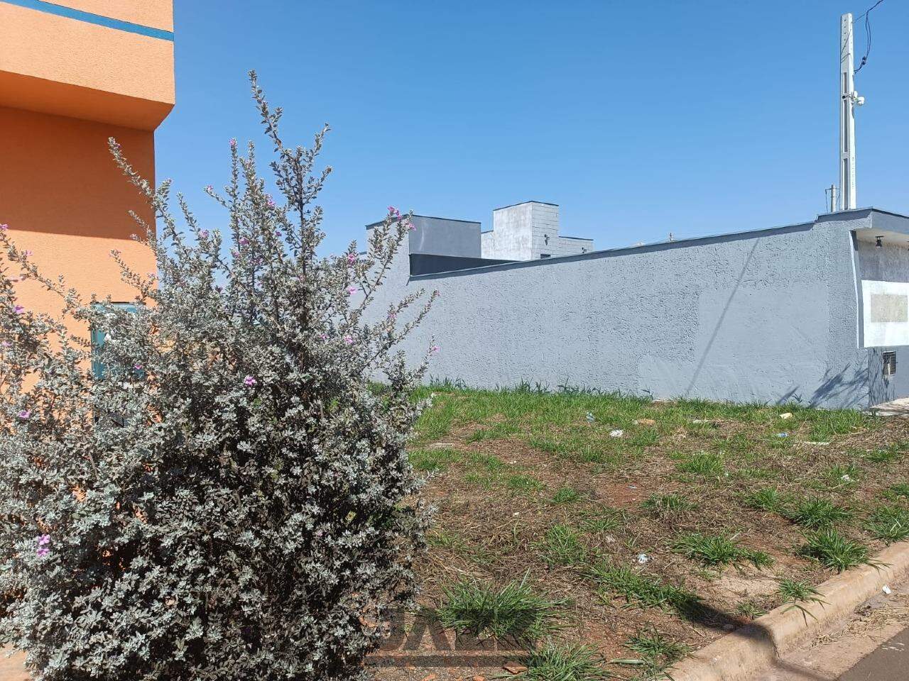 Terreno à venda, 250m² - Foto 5