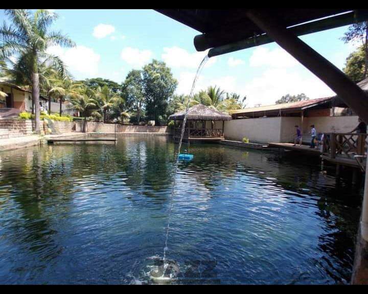 Fazenda à venda com 4 quartos, 800m² - Foto 5