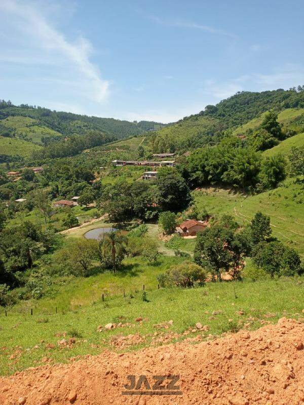 Fazenda à venda com 1 quarto, 40m² - Foto 19