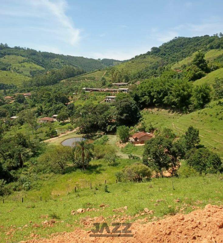 Fazenda à venda com 1 quarto, 40m² - Foto 13