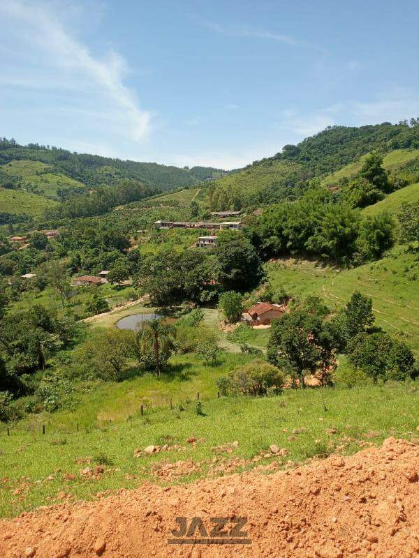 Fazenda à venda com 1 quarto, 40m² - Foto 4