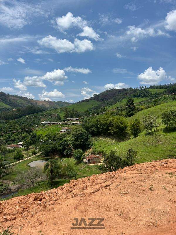 Fazenda à venda com 1 quarto, 40m² - Foto 6