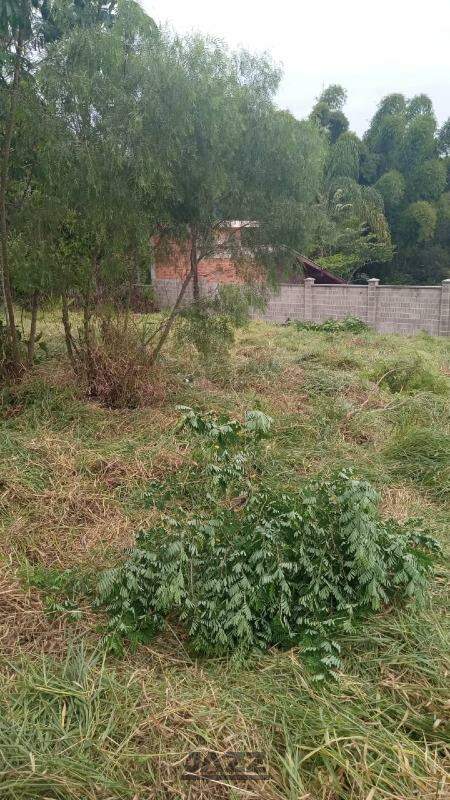 Terreno à venda, 1500m² - Foto 8