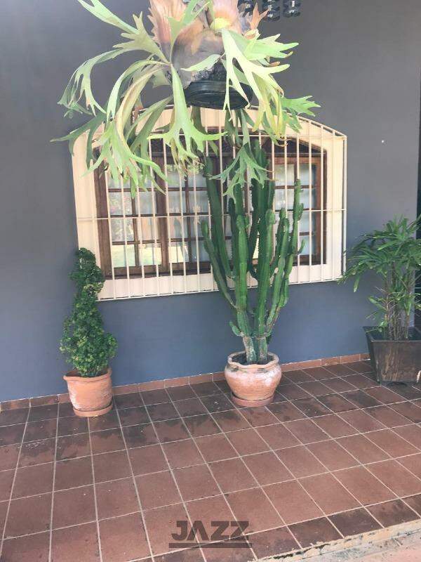 Fazenda à venda com 3 quartos, 225m² - Foto 13