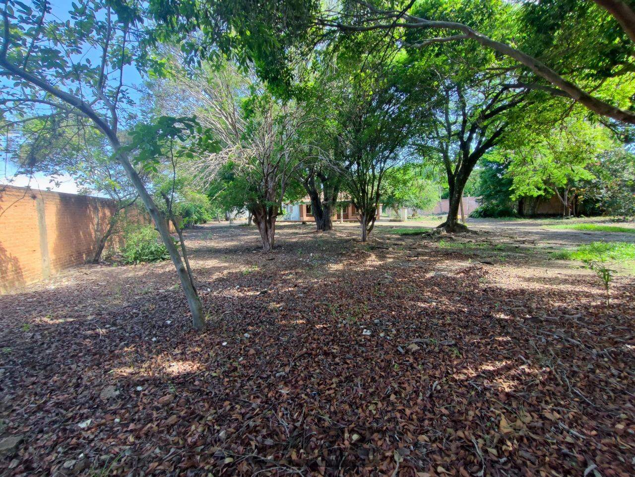 Fazenda à venda com 3 quartos, 250m² - Foto 24