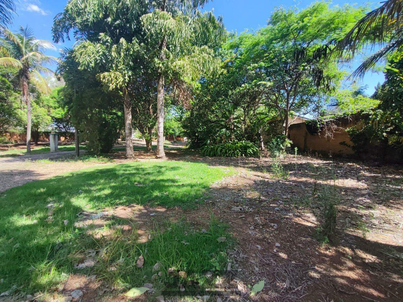 Fazenda à venda com 3 quartos, 250m² - Foto 15