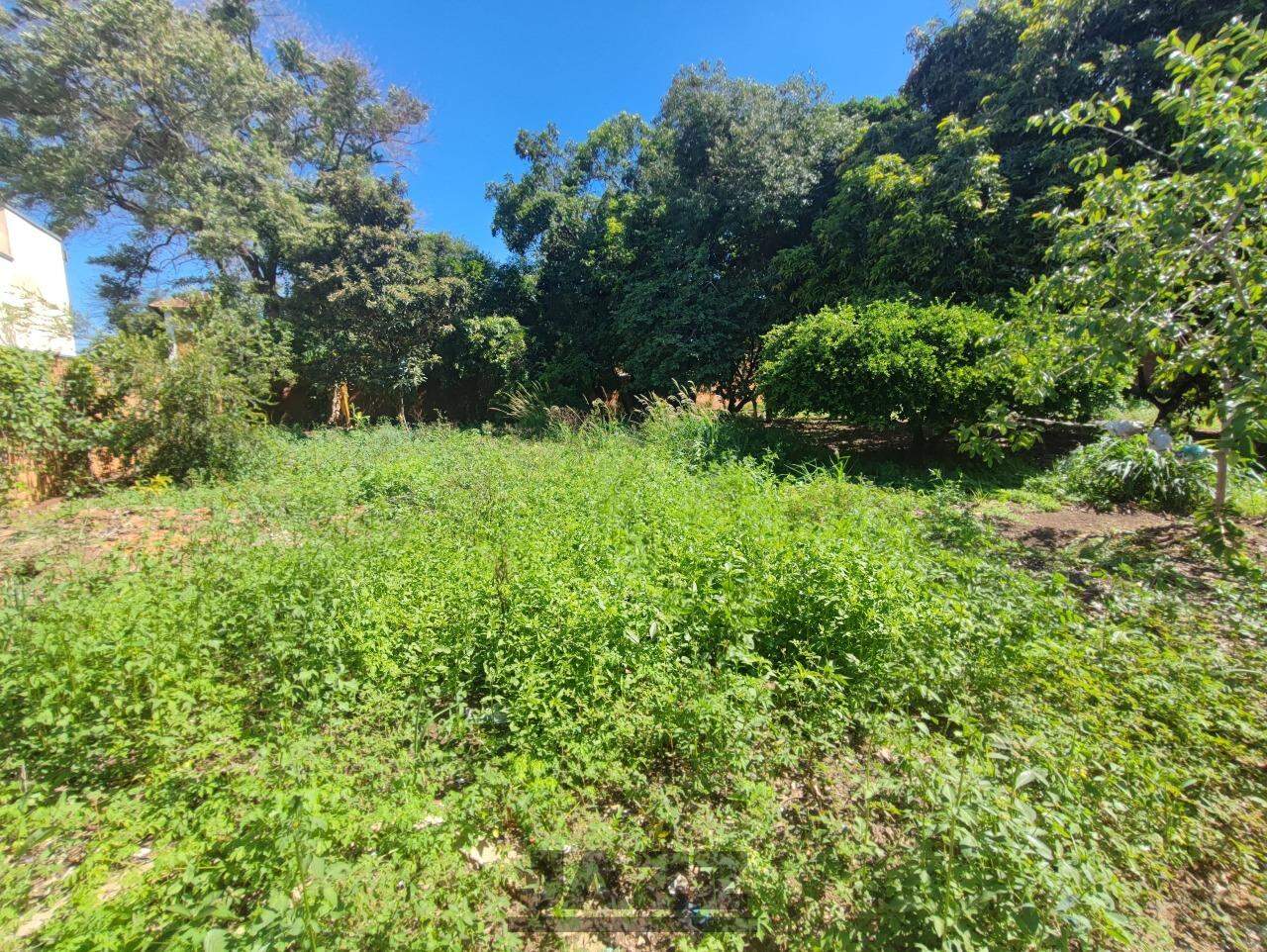 Fazenda à venda com 3 quartos, 250m² - Foto 26