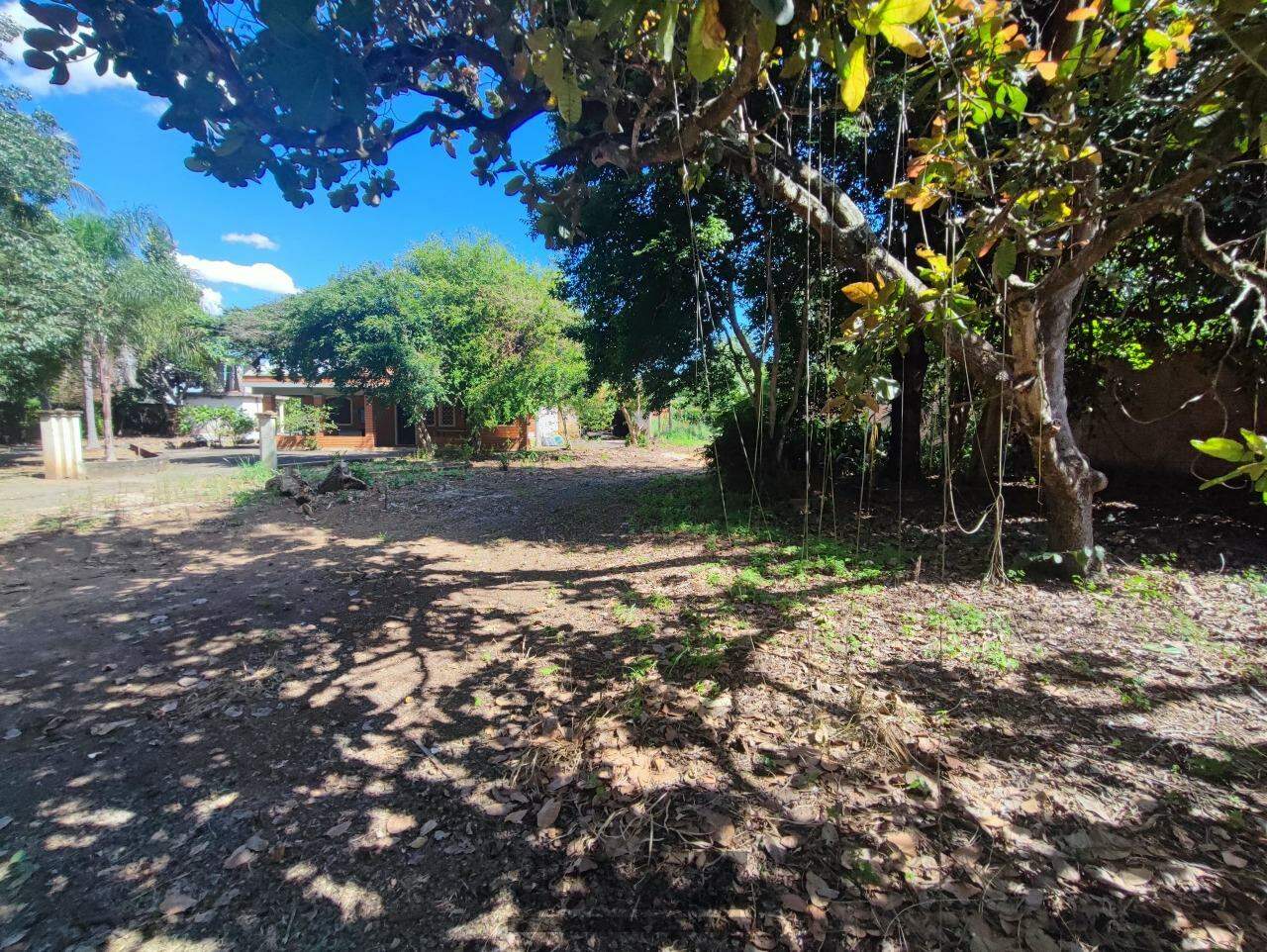 Fazenda à venda com 3 quartos, 250m² - Foto 13