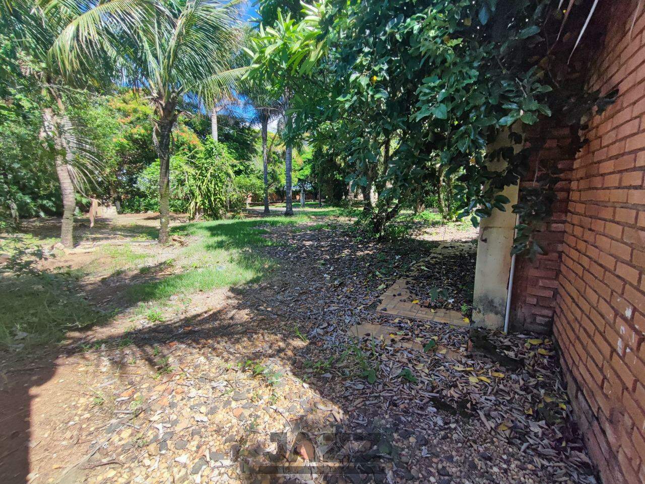 Fazenda à venda com 3 quartos, 250m² - Foto 20