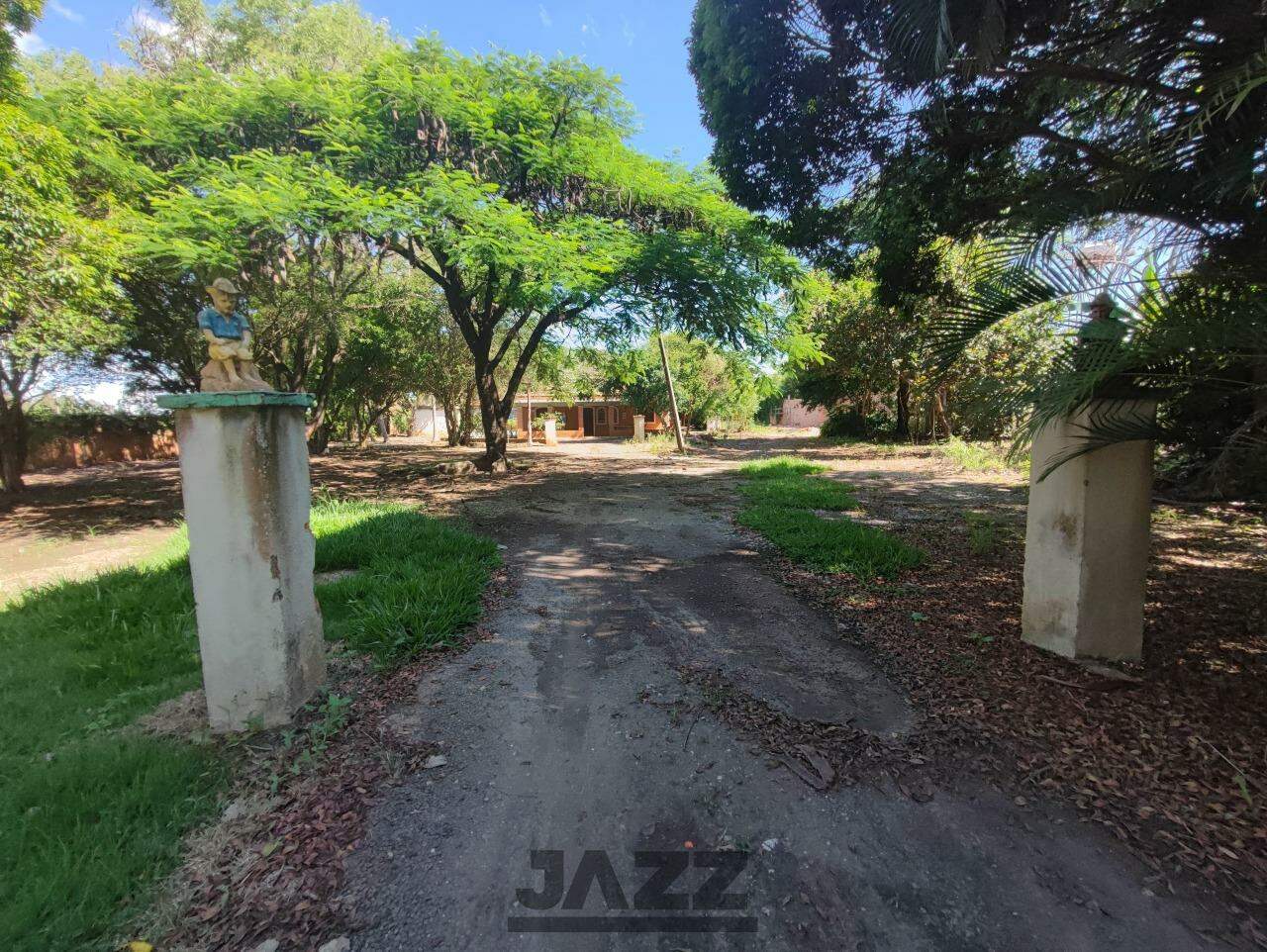 Fazenda à venda com 3 quartos, 250m² - Foto 11